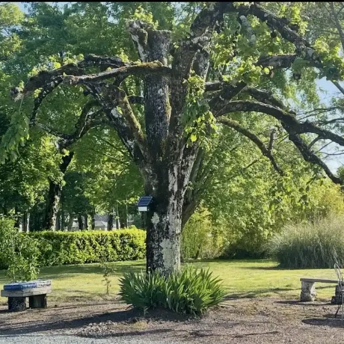 Salon de coiffure Ambiance Coiffure à Lubersac