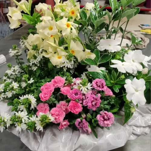 Fleuriste Au Sabot de Vénus à Lubersac