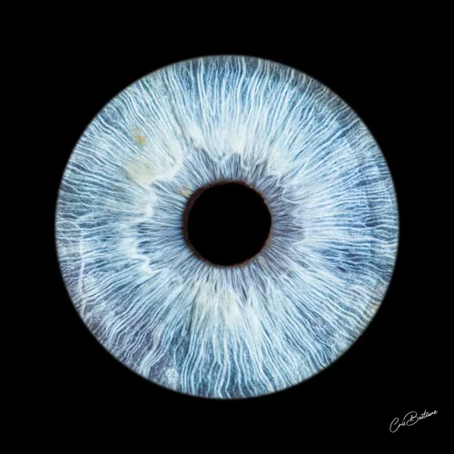 photographie_iris_portfolio (7)